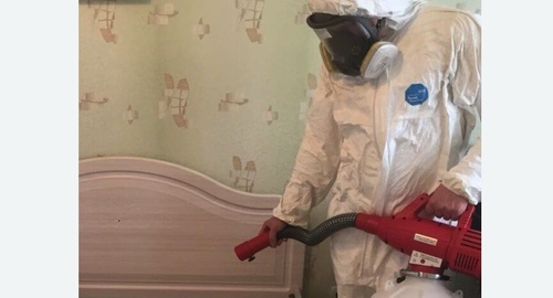 Уничтожение клещей в квартире. Пресненский район